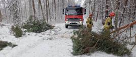 Na zdjęciu strażacy tną powalone drzewo na mniejsze kawałki celem usunięcia