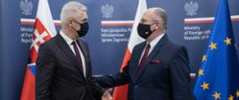 Minister Zbigniew Rau meets with chief of Czech diplomacy