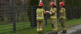 Strażacy w ubraniu specjalnym wieszają flagę na maszt