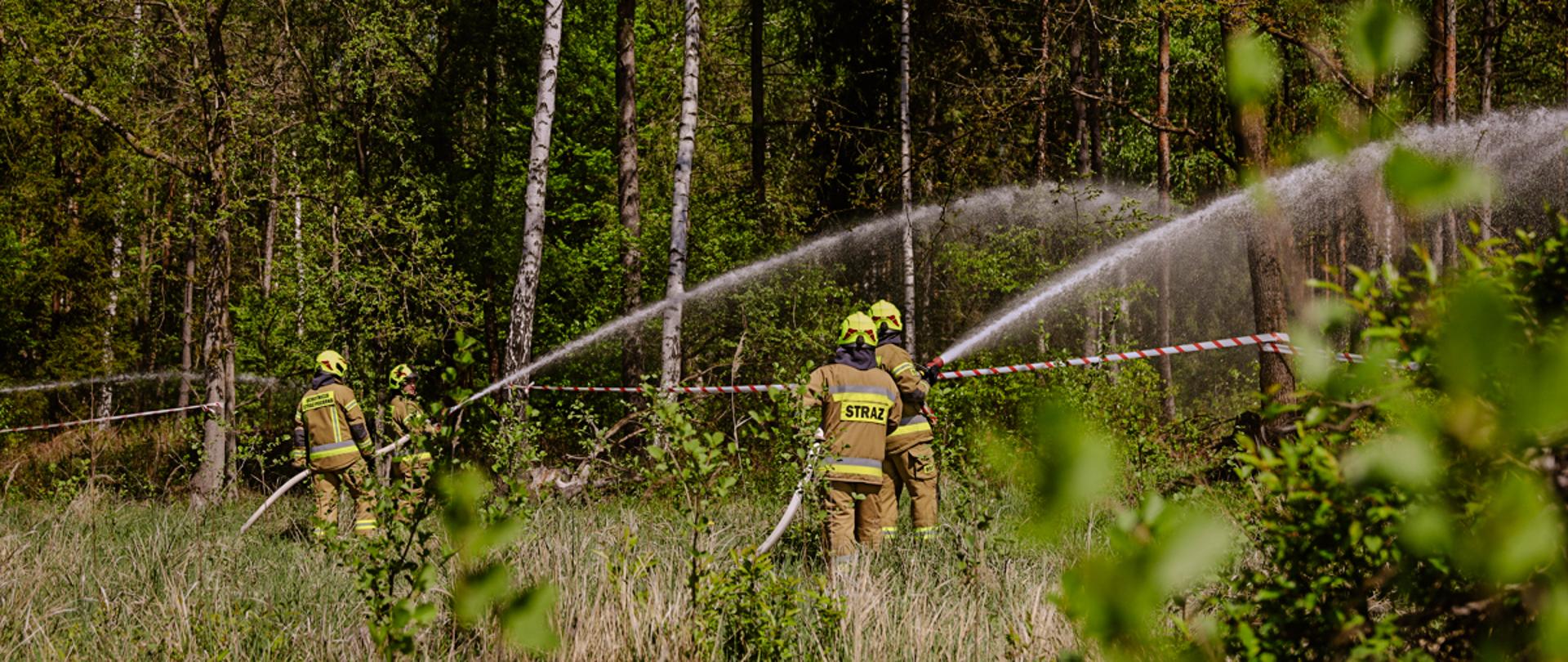 Strażacy Państwowej Straży Pożarnej w umundurowaniu służbowym z kamizelkami funkcyjnymi oraz strażacy jednostek ochotniczych straży pożarnych podczas ćwiczeń w pobliżu miejscowości Falmirowice i Suchy Bór. Ochotnicy w umundurowaniu bojowym. Strażacy w trakcie ćwiczeń. Strażacy na linii obrony gaszą las przy pomocy prądownic i węży pożarniczych.