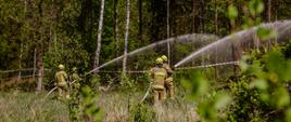 Strażacy Państwowej Straży Pożarnej w umundurowaniu służbowym z kamizelkami funkcyjnymi oraz strażacy jednostek ochotniczych straży pożarnych podczas ćwiczeń w pobliżu miejscowości Falmirowice i Suchy Bór. Ochotnicy w umundurowaniu bojowym. Strażacy w trakcie ćwiczeń. Strażacy na linii obrony gaszą las przy pomocy prądownic i węży pożarniczych.