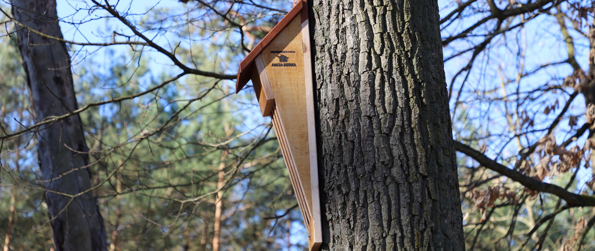 Skrzynka szczelinowa dla nietoperzy