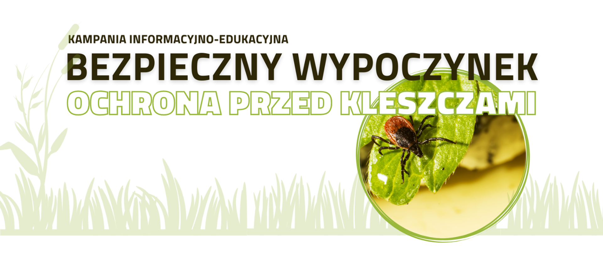 Kampania "Bezpieczny Wypoczynek - ochrona przed kleszczami"