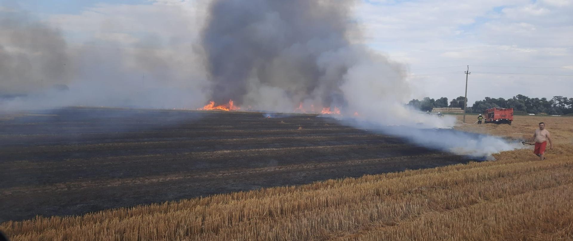 na zdjęciu pożar ścierniska, widać ogień, dym i strażaków gaszących pożar