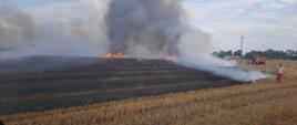 na zdjęciu pożar ścierniska, widać ogień, dym i strażaków gaszących pożar
