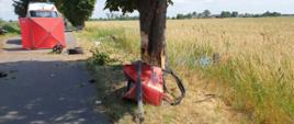 Zdjęcie przedstawia na pierwszym planie obdarte do znacznej wysokości drzewo, w które uderzył samochów osobowy marki Renault Megane, przy którym znajdują się elementy pojazdu. W tle widać parawan straży pożarnej zasłaniający ciało zabitego rowerzysty oraz samochód Zespołu Ratownictwa Medycznego. 