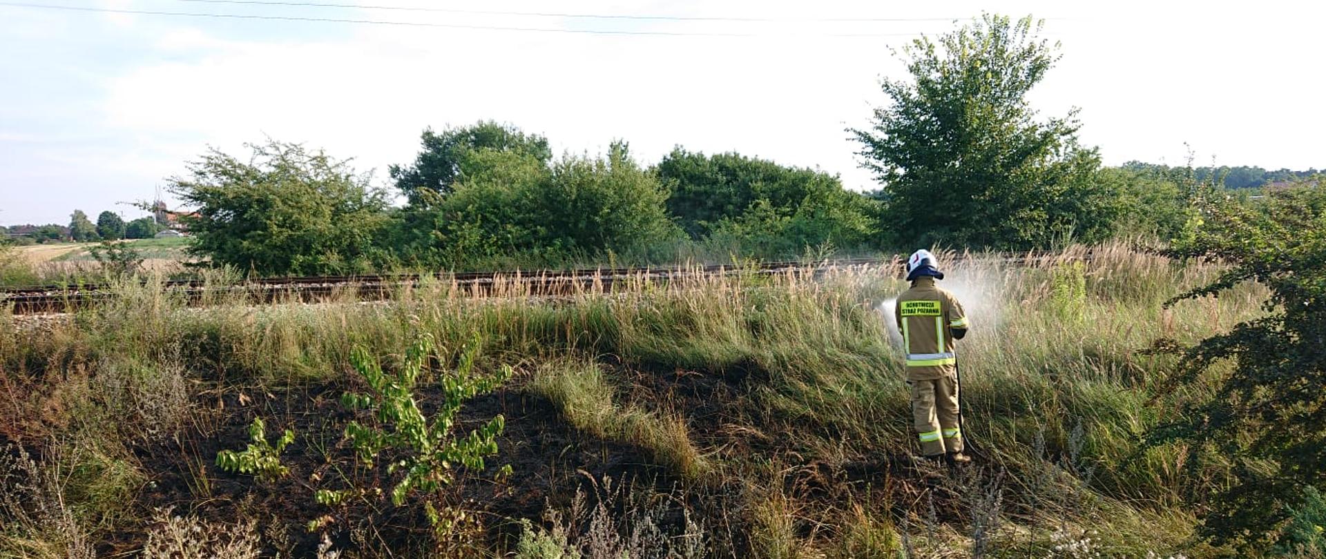 Na zdjęciu widać trawę na nasypie kolejowym. Częściowo wypalona. Zdjęcie w ciągu dnia. Niebo błękitne. Strażacy w ubraniach specjalnych w hełmach. Widać linię kolejową.