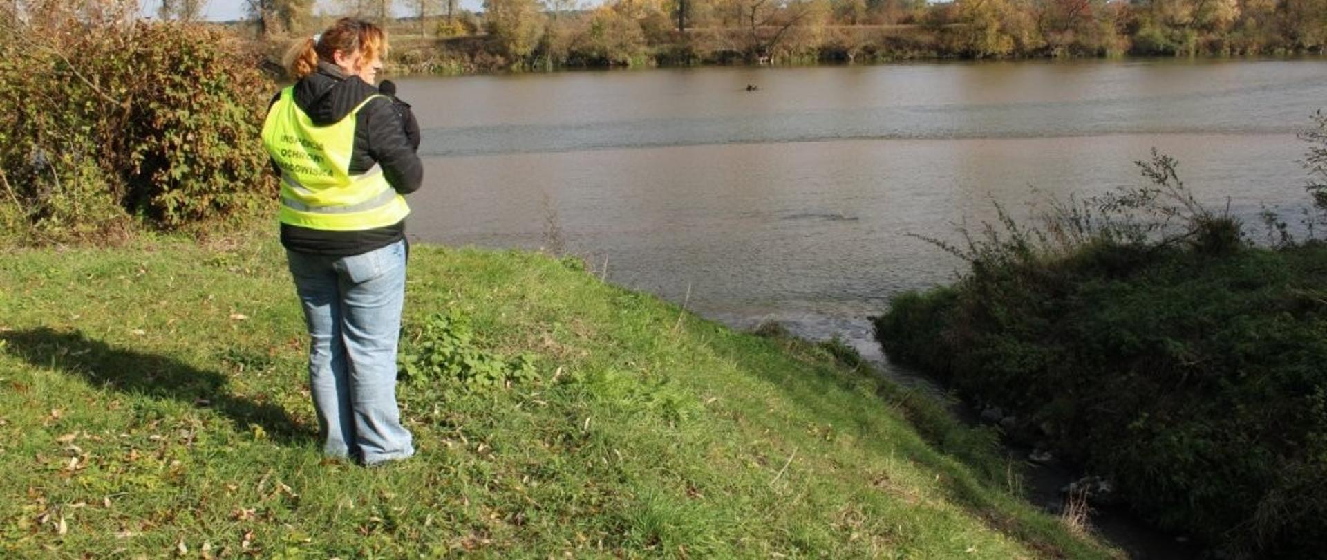 Inspektor WIOŚ stojący przy rzece podczas oględzin.