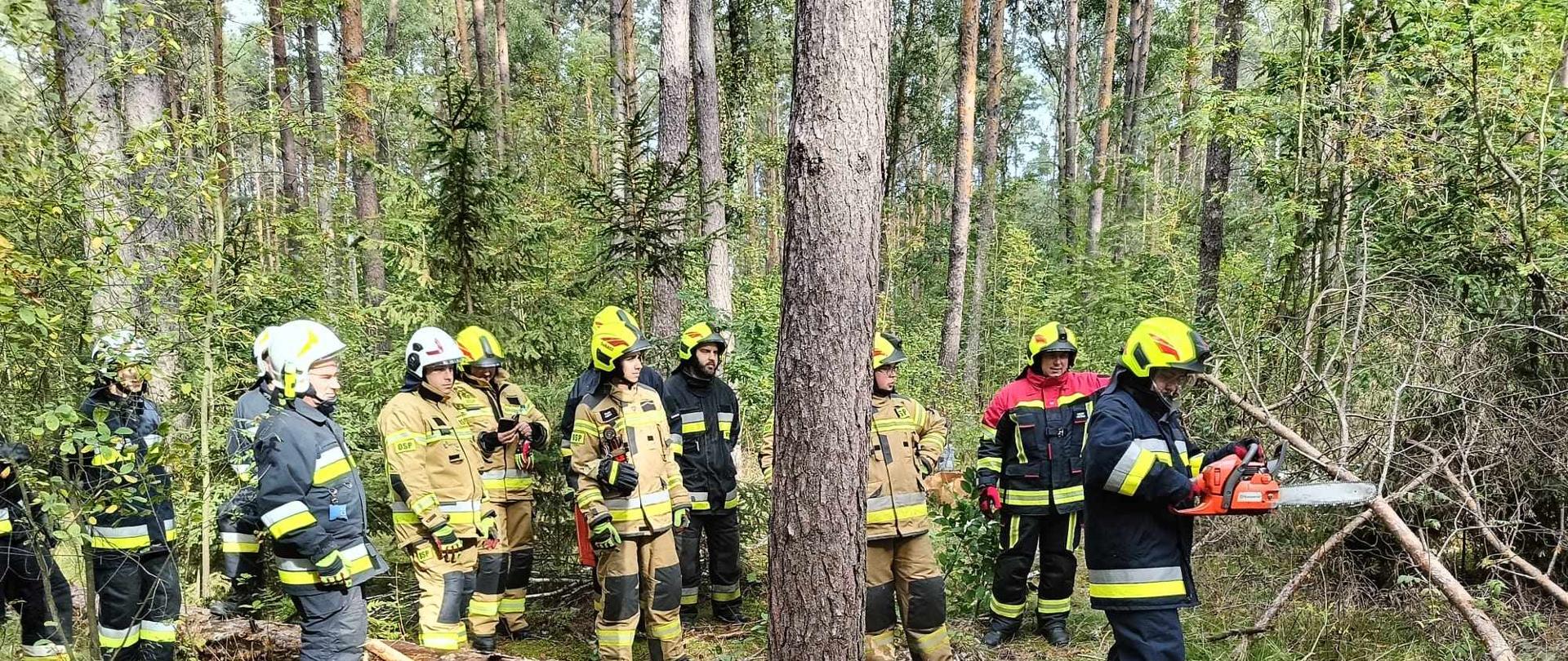 Szkolenie z zakresu techniki ścinki drzew, okrzesywania i przerzynki drzew leżących podpartych jedno i dwupunktowo wg naprężeń ściskających i rozciągających dla strażaków Ochotniczych Straży Pożarnych z terenu powiatu obornickiego zorganizowane przez Nadleśnictwo Durowo.