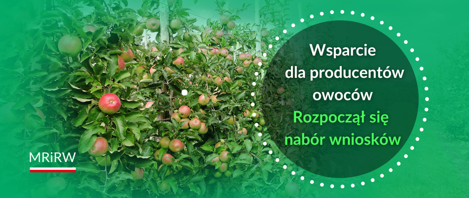 Ruszył nabór wniosków o wsparcie dla sadowników poszkodowanych przez wiosenne przymrozki