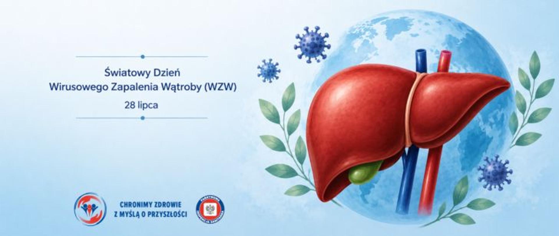 Na jasnoniebieskim tle po prawej znajduje się ilustracja czerwonej wątroby z pęcherzykiem żółciowym, naczyniami krwionośnymi i kulą ziemską w tle, otoczona symbolami wirusów oraz zielonymi liśćmi. Po lewej widnieje napis: „Światowy Dzień Wirusowego Zapalenia Wątroby (WZW) – 28 lipca”. Na dole logo Państwowej Inspekcji Sanitarnej wraz z hasłem: Chronimy zdrowie z myślą o przyszłości