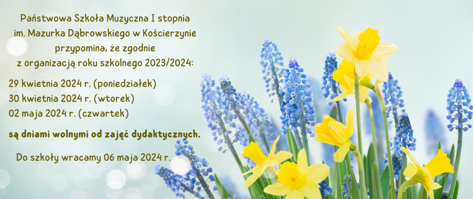 Po prawej stronie zdjęcia wiosenne kwiaty: żółte narcyzy i niebieskie szafirki. Po lewej stronie brązową czcionką informacja o dniach wolnych od zajęć dydaktycznych w okresie majówki.