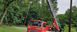 Zdjęcie przedstawia strażaków z OSP z terenu powiatu obornickiego podających prąd wody z drabiny mechanicznej na konary drzew