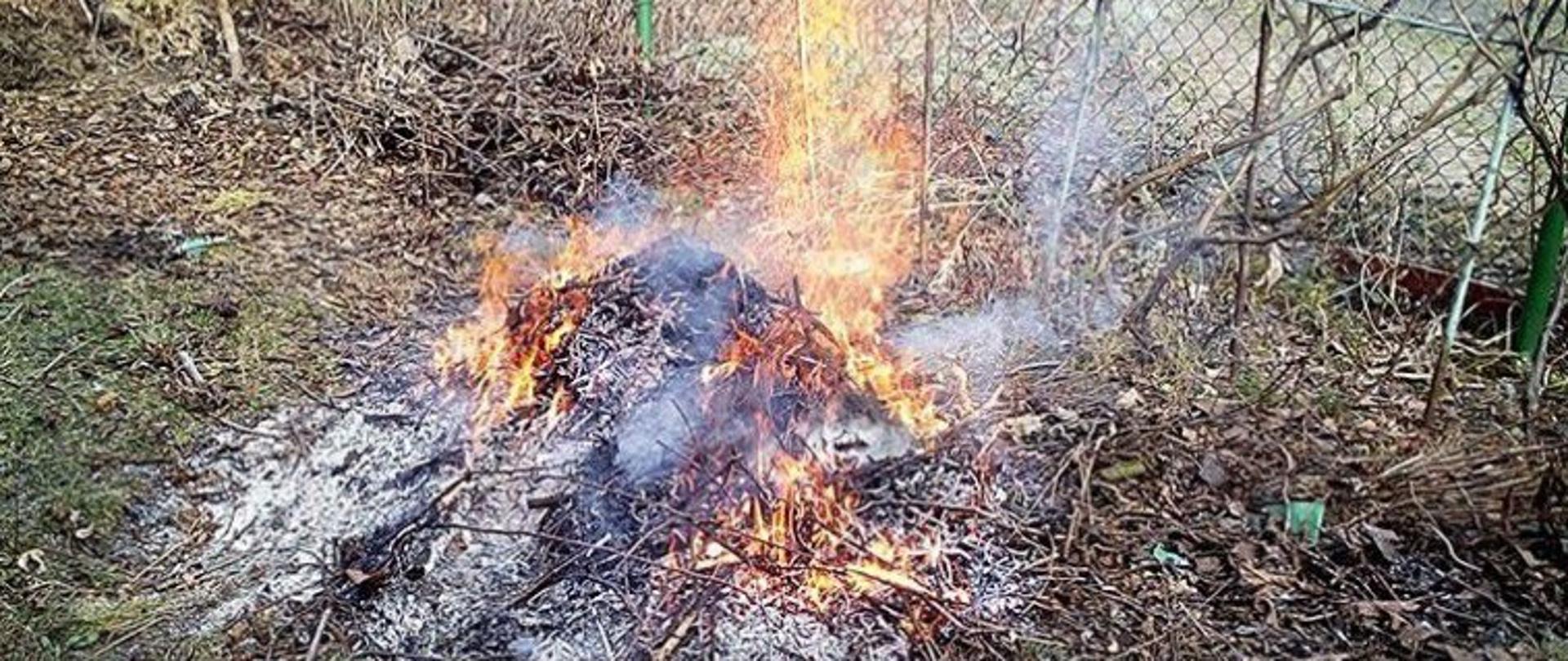 Wypalanie pozostałości roślinnych