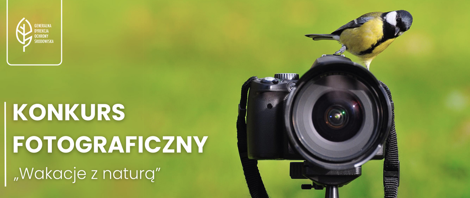 Na zielonym tle widać aparat fotograficzny. Poniżej napis wakacje z naturą