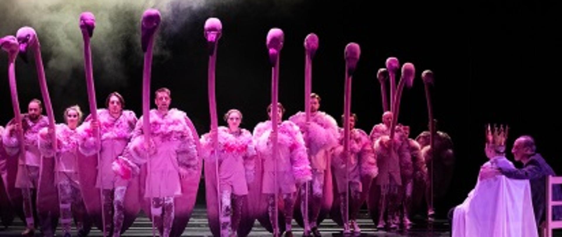 zdjęcie - na czarnym tle grupa ludzi w różowych kostiumach, przedstawiających flamingi
