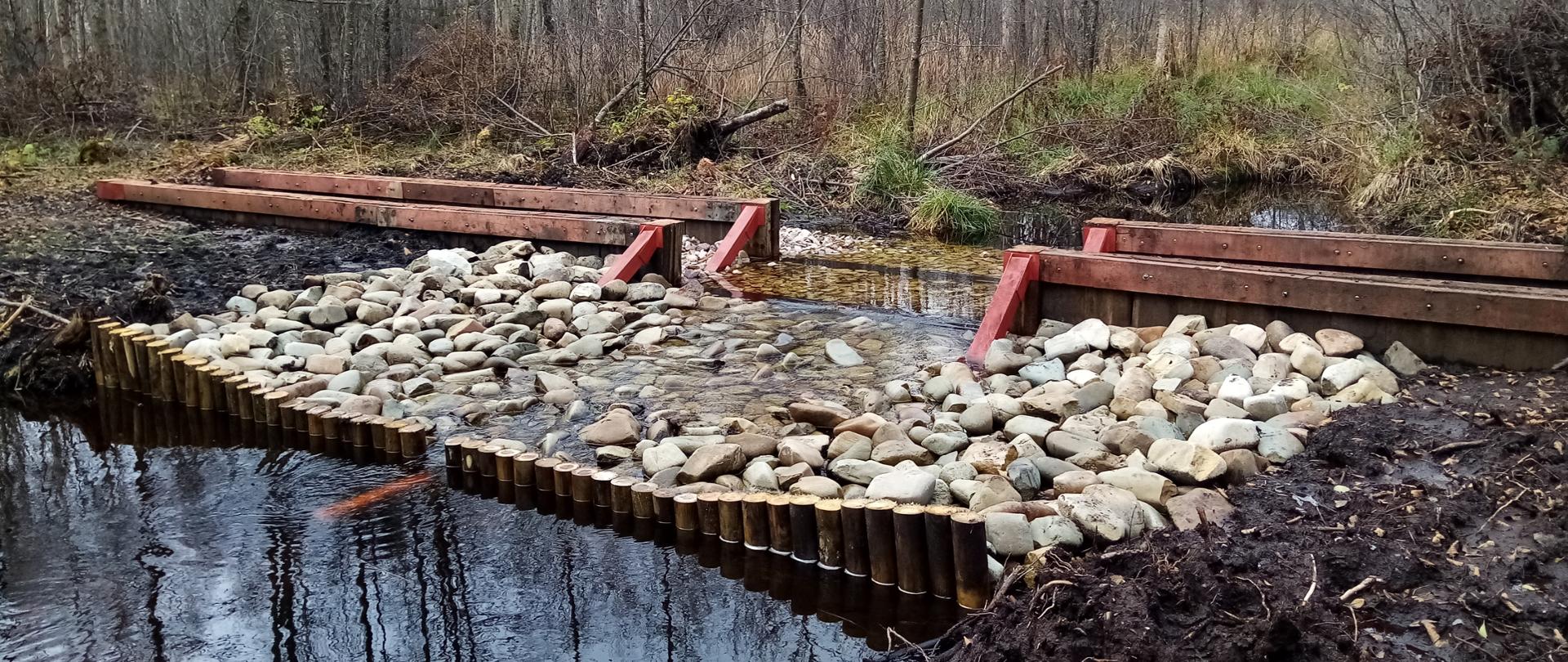 Zastawki drewniane na terenie rezerwatu Białe Ługi 