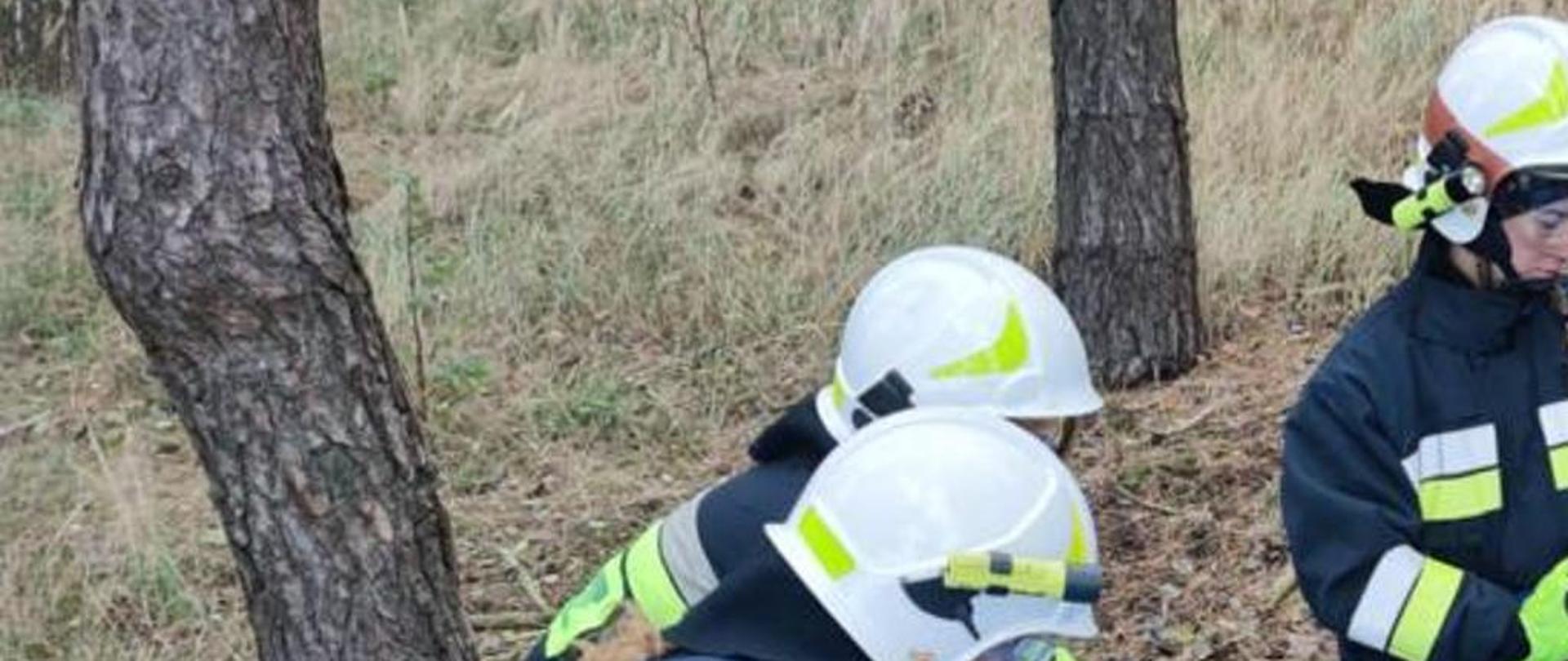 Strażacy uczą się używać narzędzi hydraulicznych potrzebnych np. do rozcinania pedałów we wraku samochodu.