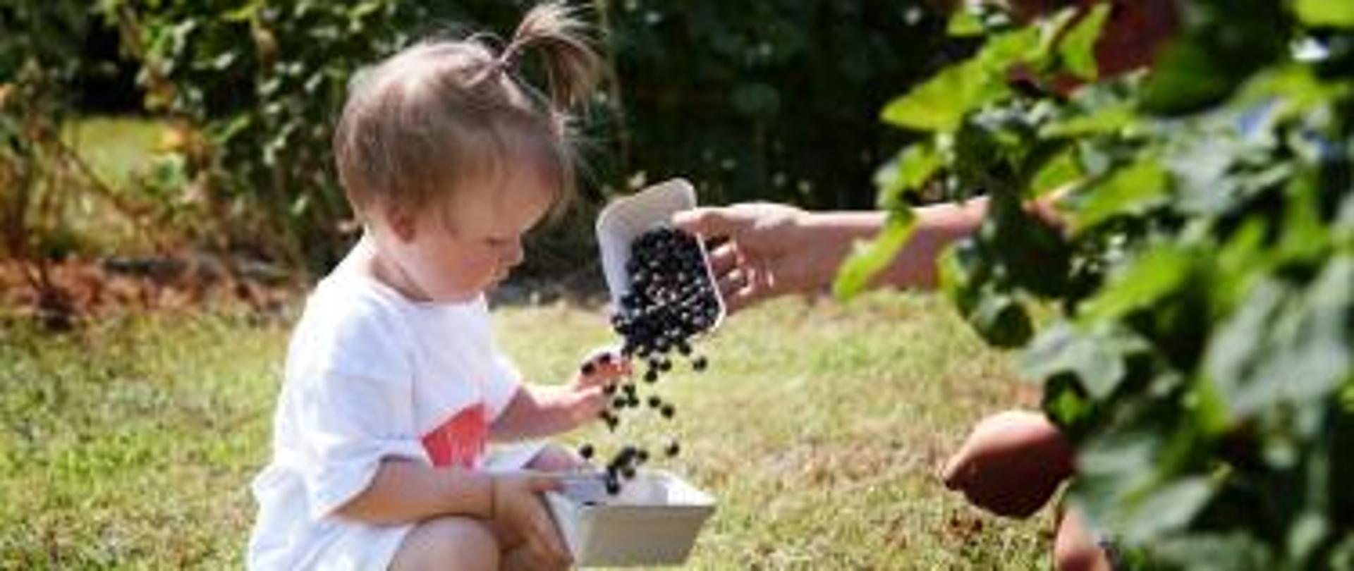 Czas_na_polskie_superowoce!