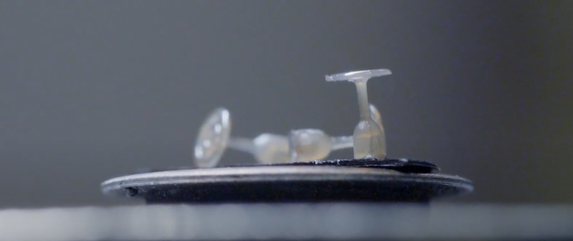 Otoimplant- polimerowa proteza ucha środkowego z nanosrebrem o działaniu bakteriobójczym stosowana w rekonstrukcji łańcucha kosteczek słuchowych