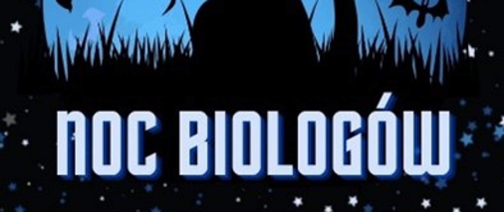 Na zdjęciu znajduje się czarny kot oraz czarna sowa na niebieskim tle