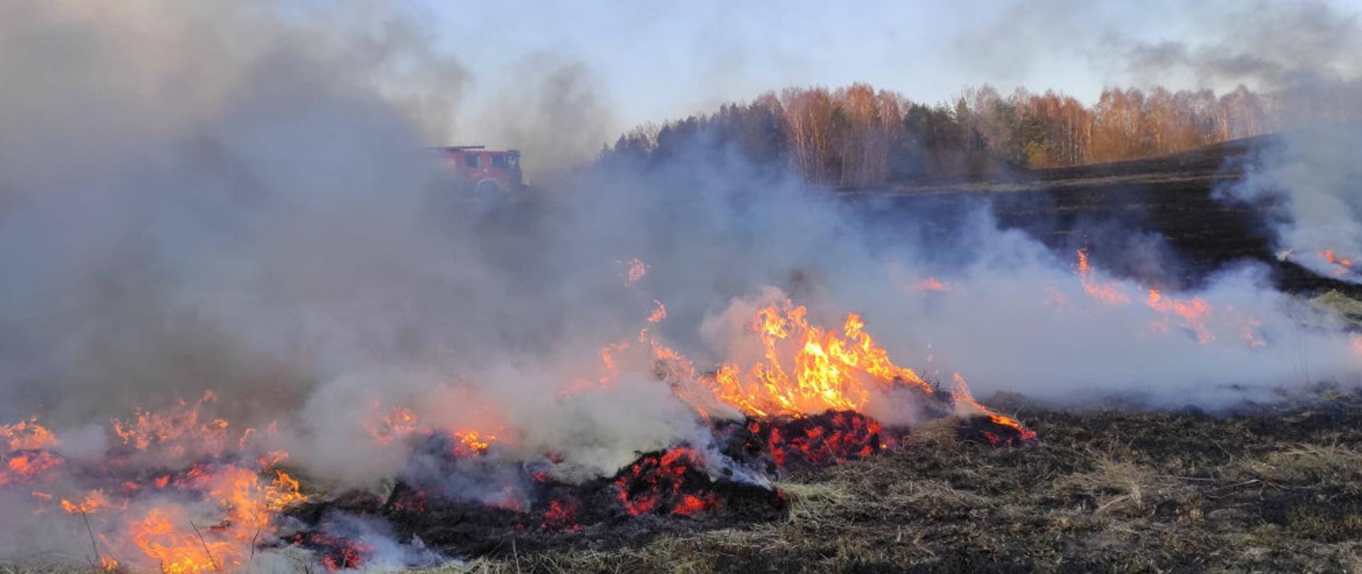 Pożar trawy w miejscowości Łubowo - akcja gaśnicza wdać płomienie i dym 