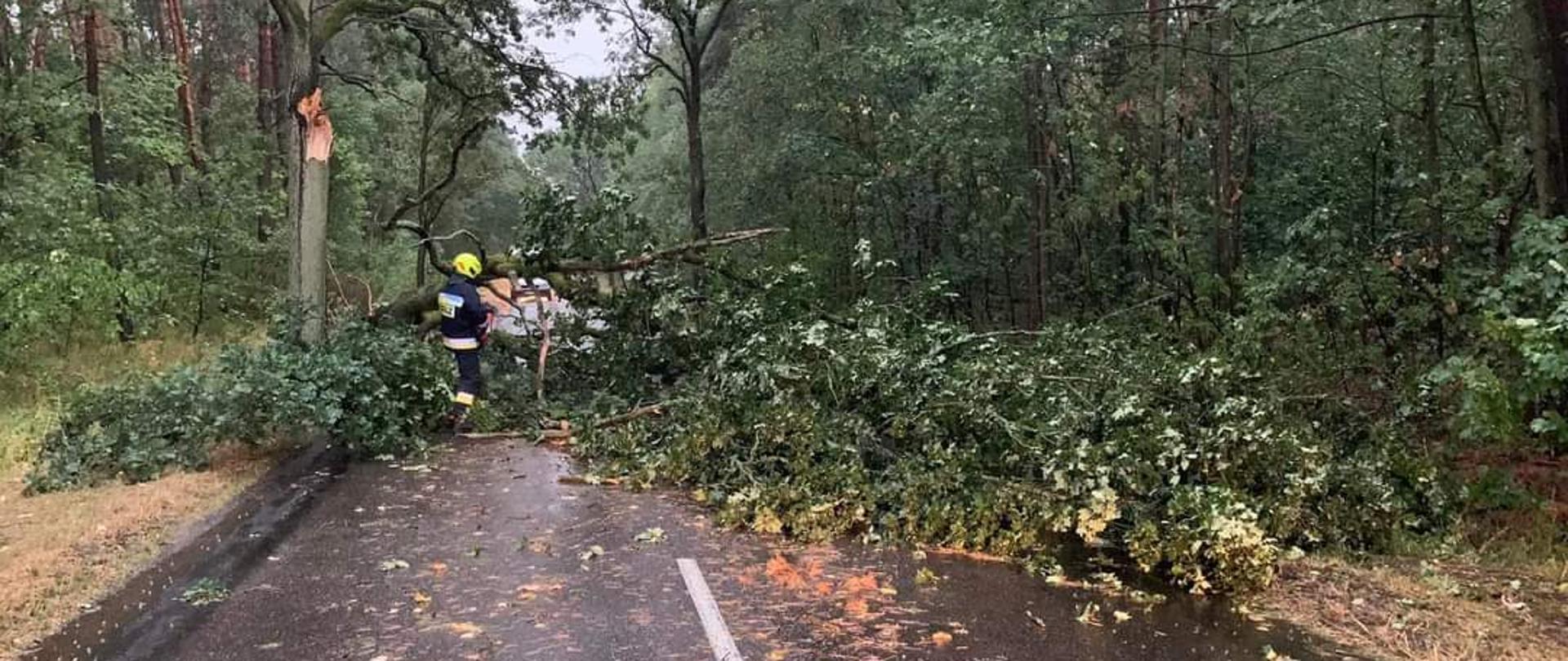 W miniony weekend nad powiatem obornickim przeszła nawałnica objawiająca się intensywnymi opadami deszczu, burzami, silnym wiatrem, a nawet miejscowymi opadami gradu.