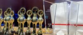The patron and founder of the prizes of the 17th edition of the competition was the Embassy of the Republic of Poland in Tirana.