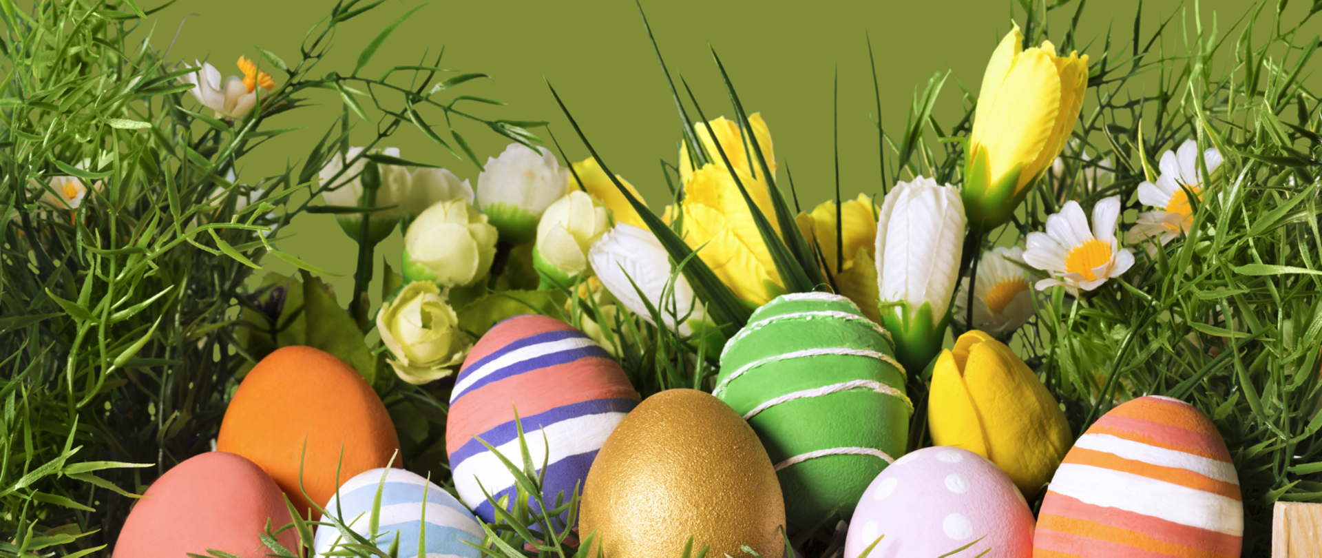 Kartka w tematyce świąt wielkanocnych. Zgniłozielone tło, w górnej części po prawej i lewej stronie trzy wiszące pisanki, w dolnej części malowane jajka położone w trawie, ozdobione białymi i żółtymi tulipanami oraz stokrotkami