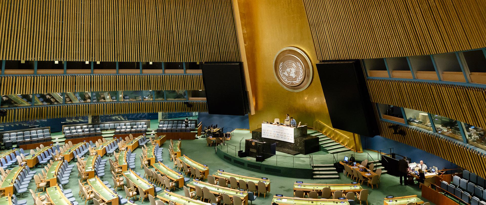 Sala posiedzeń ZO ONZ