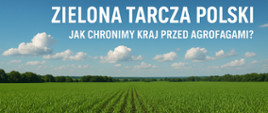 Zdjęcie przedstawia pole zapełnione zielonymi roślinami oraz błękitne niebo z kilkoma białymi chmurami. Na niebie jest biały napis "Zielona tarcza Polski. Jak chronimy kraj przed agrofagami?"