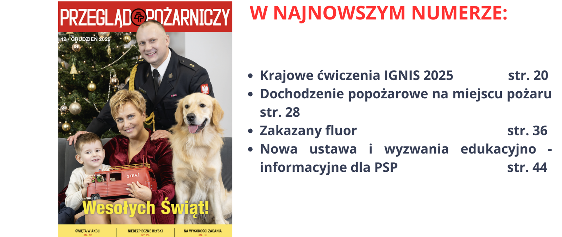 Okładka przeglądu pożarniczego. Dwójka dorosłych ludzi, dziecko i pies. W tle choinka.