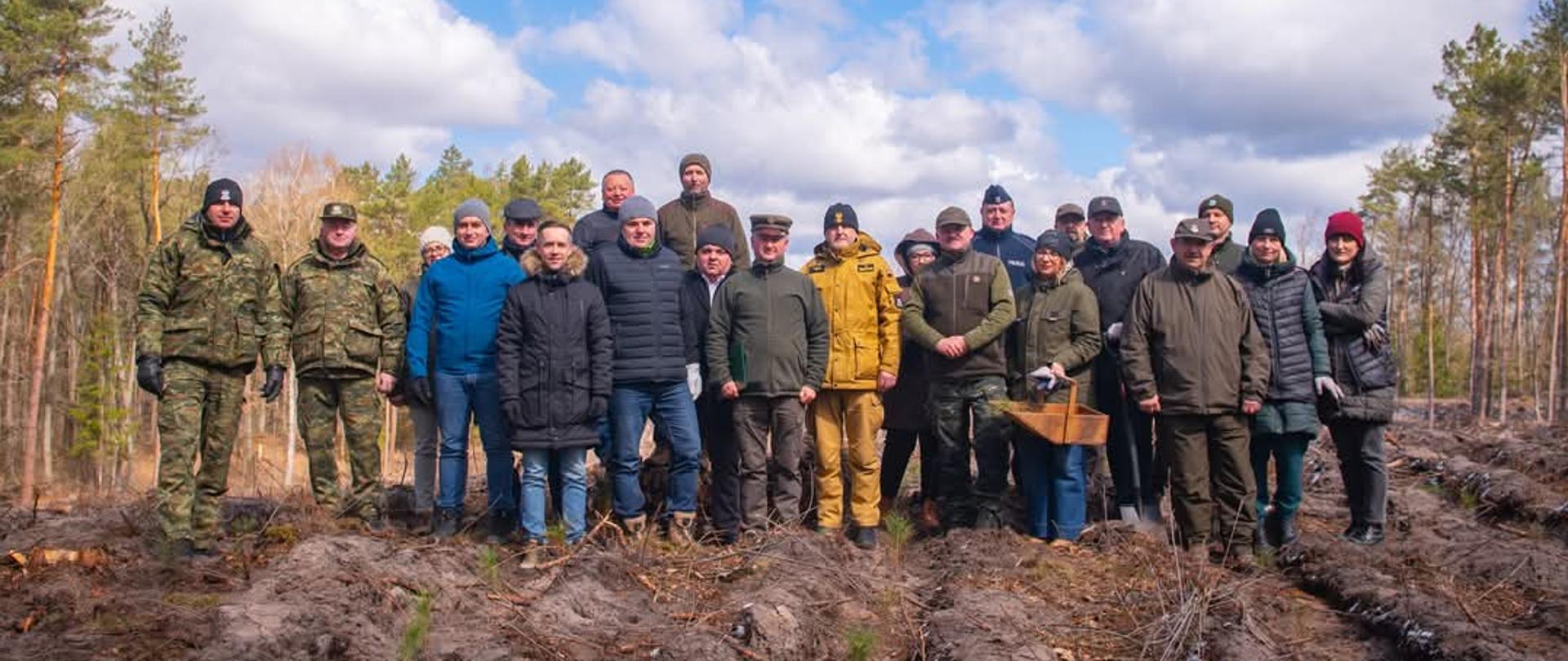 Wiosenne sadzenie lasu z udziałem przedstawicieli WIORiN w Tomaszowie Lubelskim na zaproszenie Nadleśnictwa Tomaszów