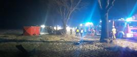 TRAGICZNY POCZĄTEK ROKU. Na zdjęciu widzimy wypadek drogowy, rozbity samochód osobowy stoi na polu obok drzewa, czerwony parawan , na drodze stoją pojazdy służb ratowniczych, wokół strażacy, policjanci i ratownicy medyczni