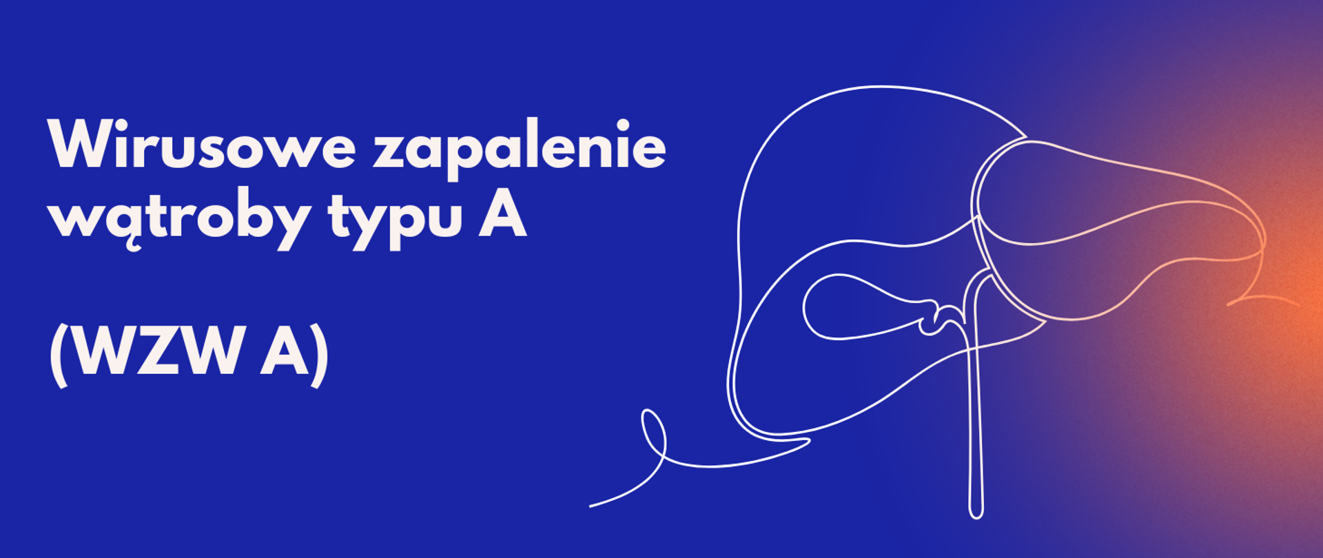 Niebieskie tło z rysunkiem wątroby. Tekst: Wirusowe zapalenie wątroby typu A (WZW A).
