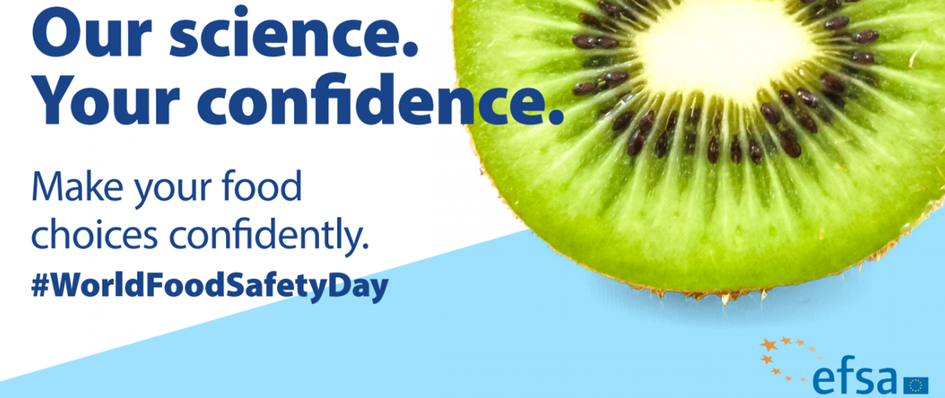 Obrazek owocu kiwi z angielskimi napisami