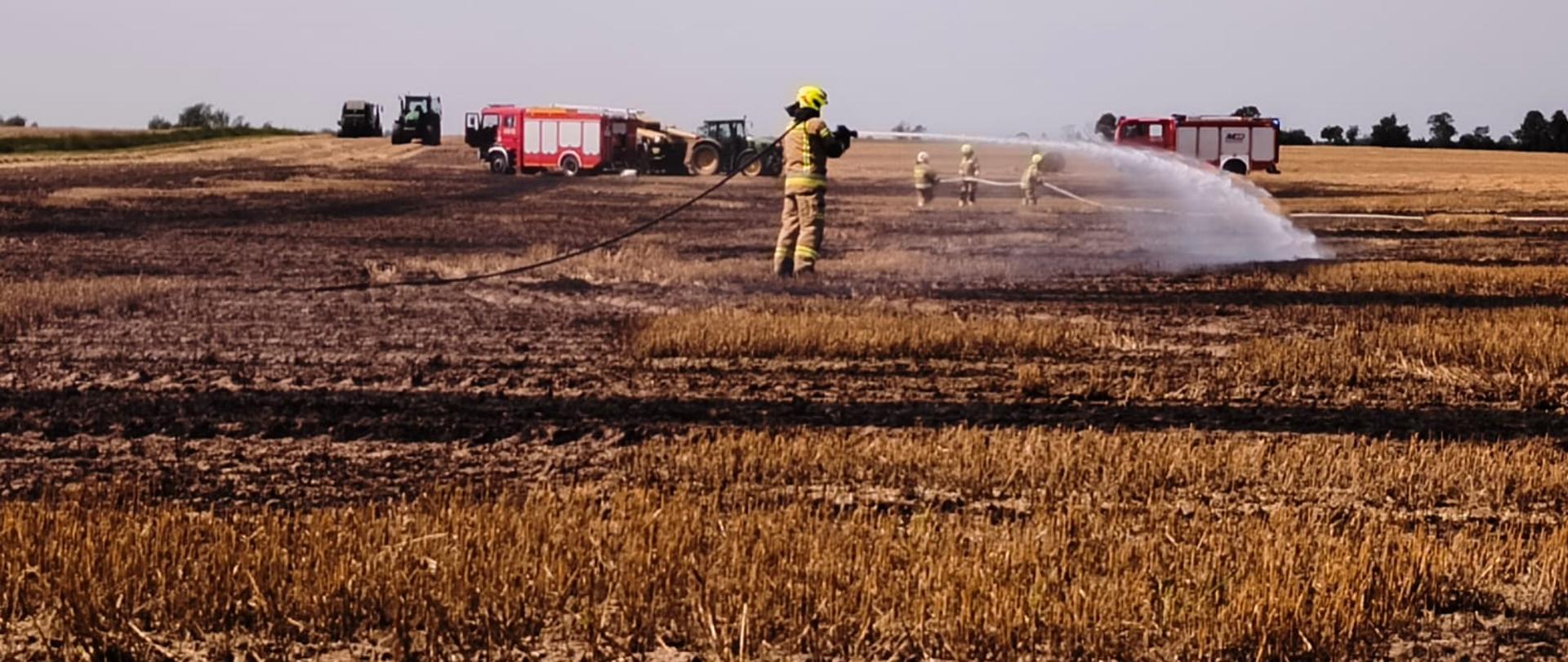 Strażacy PSP i OSP podczas dogaszania pożaru ścierniska