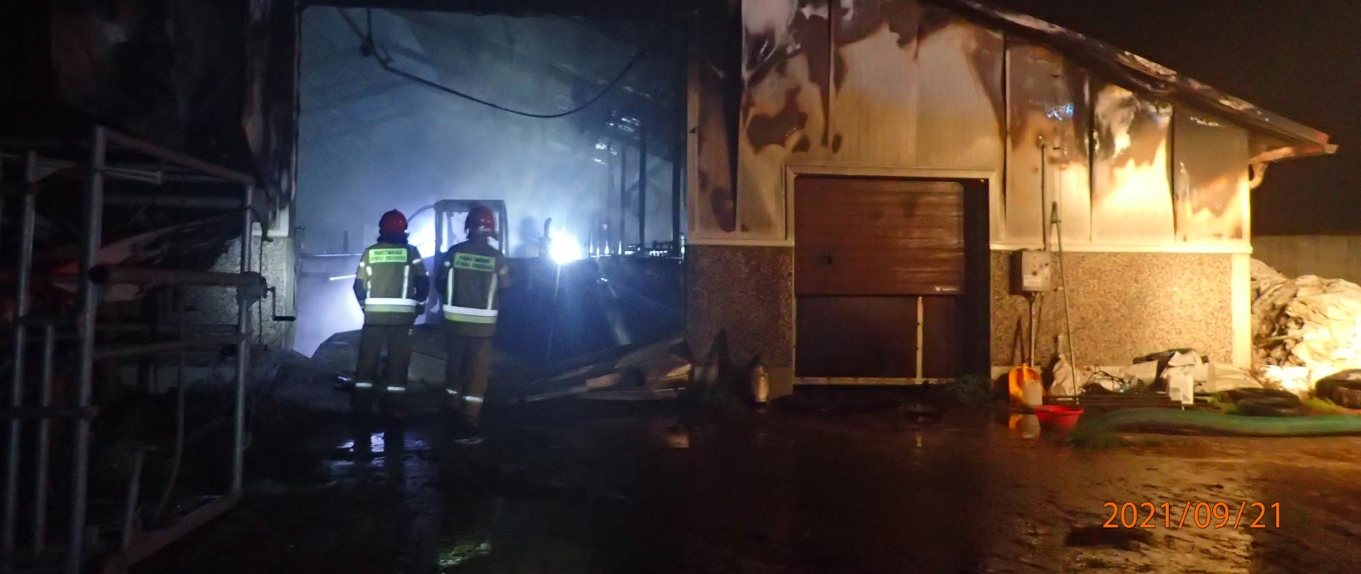 Zdjęcie przedstawia pożar obory, w którym zginęło około 150szt bydła