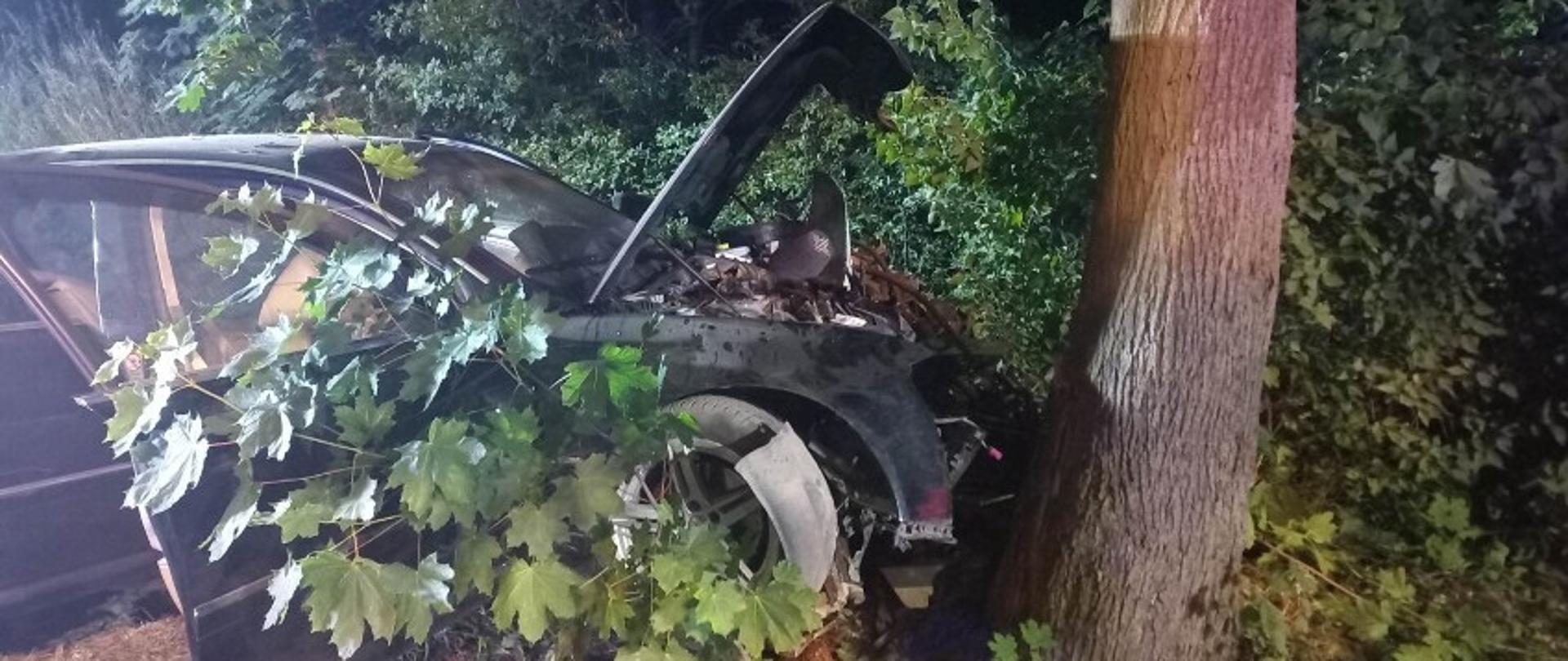 Widać uszkodzony samochód, który uderzył w drzewo, drzwi i maska są otwarte, w pobliżu są krzeki