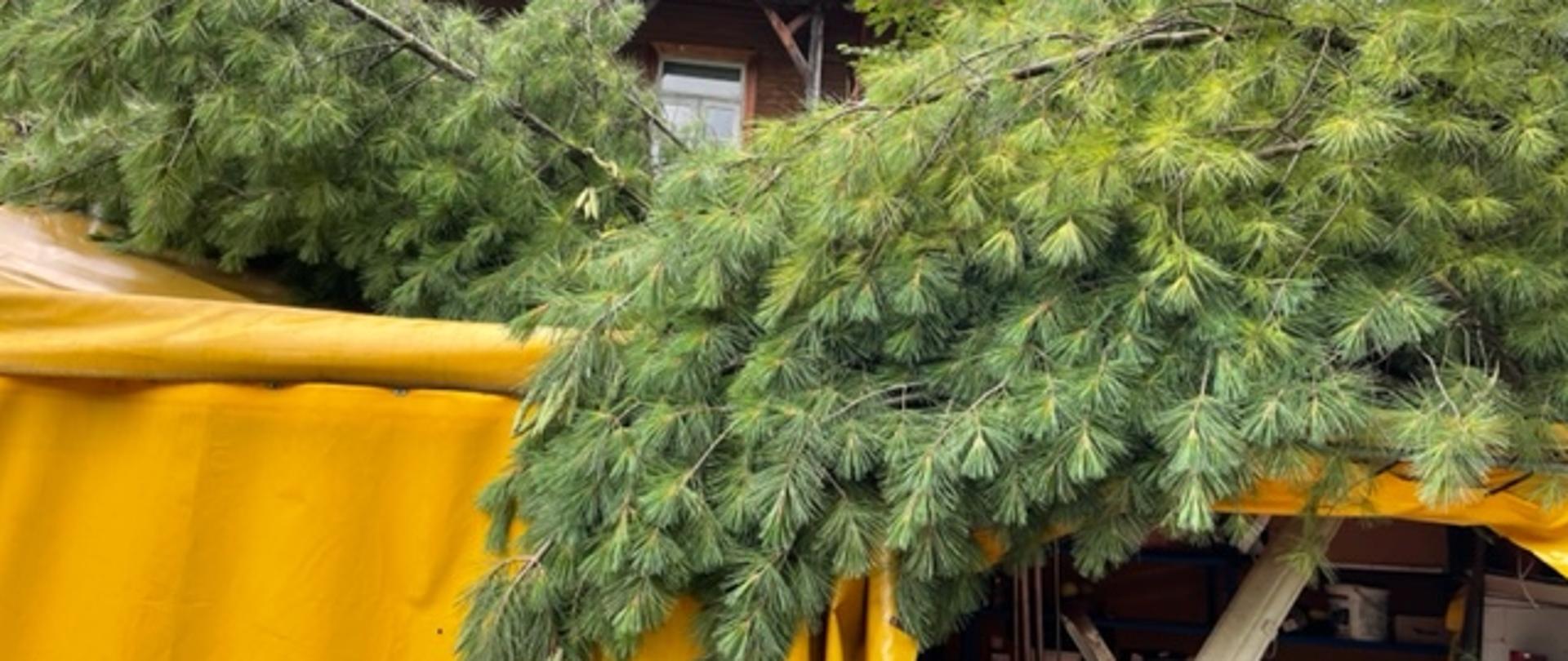 Gałęzie leżące na namiocie ogrodowym.