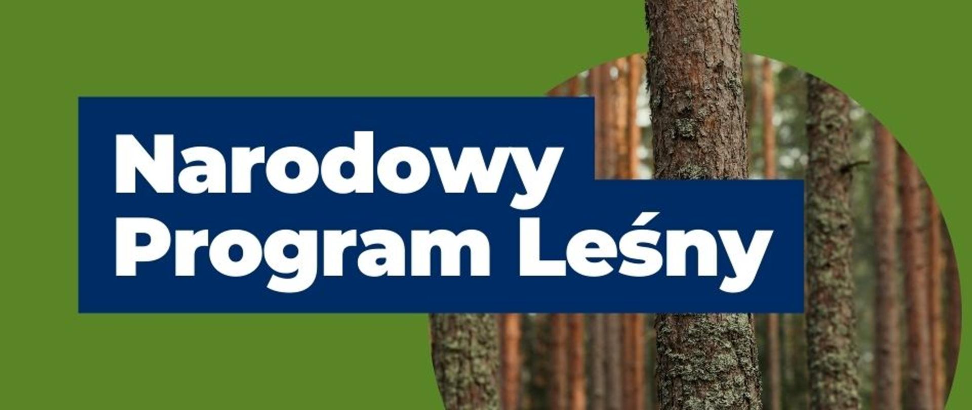 na grafice widnieje napis "Narodowy Program Leśny" oraz zdjęcie lasu w kole, z którego wychodzi drzewo.