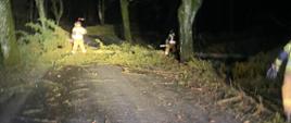 Usuwanie skutków silnych wiatrów- powalone drzewa na drodze