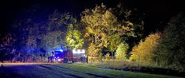 Średni samochód ratowniczo-gaśniczy w oddali w lesie. Przy samochodzie Państwowej Straży Pożarnej widoczni funkcjonariusze Policji prowadzący działania.
