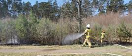 Na zdjęciu widać strażaków gaszących pożar trawy 