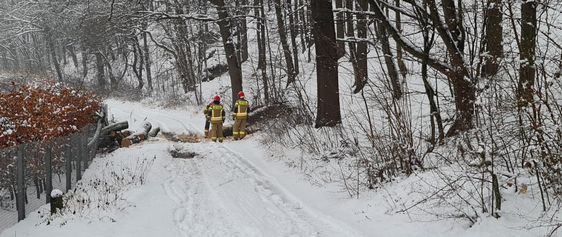 Obraz przedstawia zaśnieżoną drogę. Na drodze leży powalone drzewo. Przy drzewie trzech strażaków w umundurowaniu specjalnym, którzy tną drzewo za pomocą pilarki na mniejsze kawałki. Wokół drzewa pokryte śniegiem.