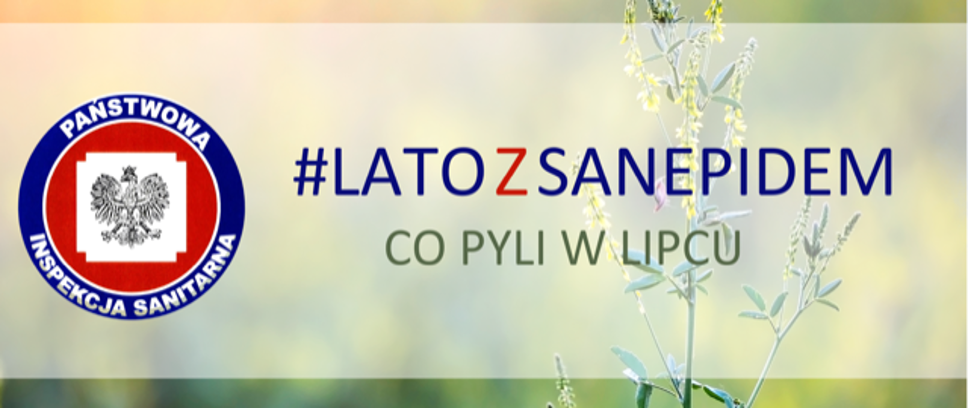 W tle grafiki widoczna roślina, z przodu po lewej stronie widoczne logo Państwowej Inspekcji Sanitarnej obok loga napis #LATOZSANEPIDEM CO PYLI W LIPCU