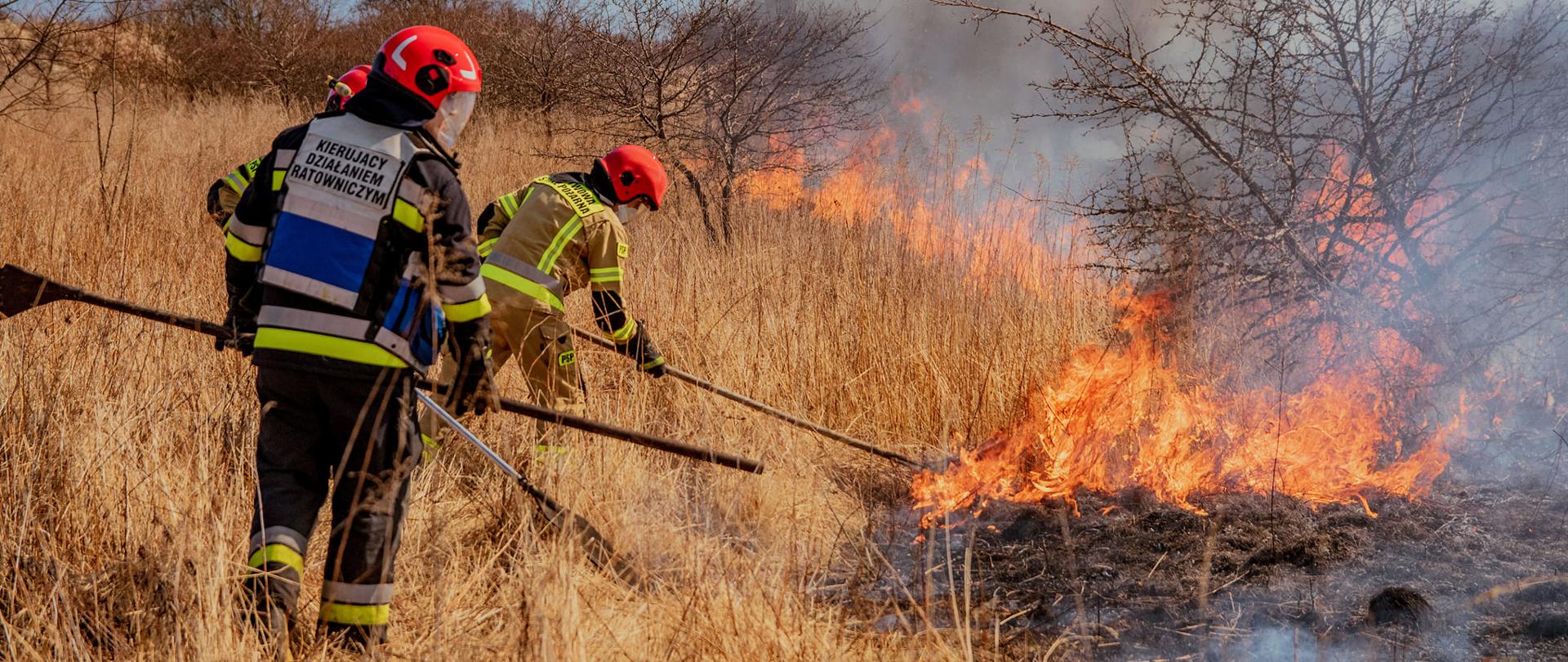 Gaszenie pożaru traw tłumicami
