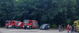 Zgrupowanie pojazdów służb ratowniczych zaparkowanych na placu na tle wysokich drzew. Stoją tam dwa czerwone wozy strażackie, czerwony bus strażacki, radiowóz straży miejskiej przy którym stoi dwóch funkcjonariuszy straży miejskiej oraz żółta karetka. Wokół karetki widać dwóch ratowników medycznych, jeden z nich klęczy nad fantomem na którym wykonuje pokaz RKO, który obserwują spacerowicze.