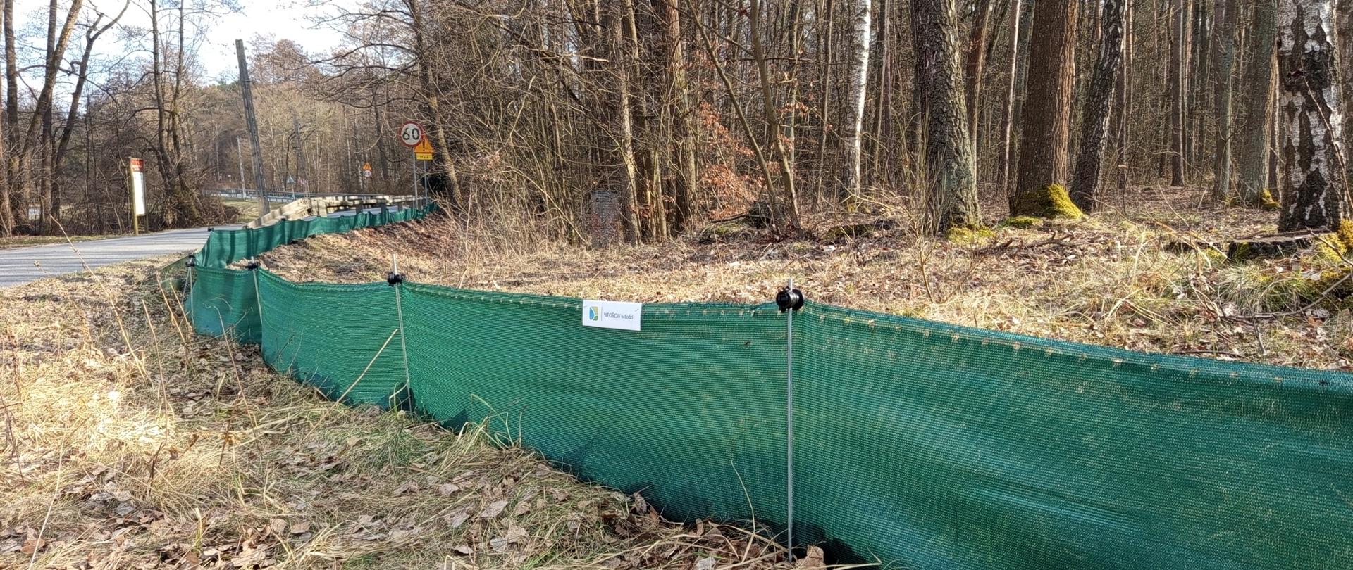 Zielona siatka ochronna rozciągnięta wzdłuż rowu przy leśnej drodze. .Bariera biegnie obok wysokich drzew z tablicami informacyjnymi, oddzielając pobocze od lasu i chroniąc małe zwierzęta przed wejściem na jezdnię