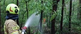 Stojący strażak w lesie, trzymający prądownicę wodną, podający wodę w głąb lasu na symulowany pożar.